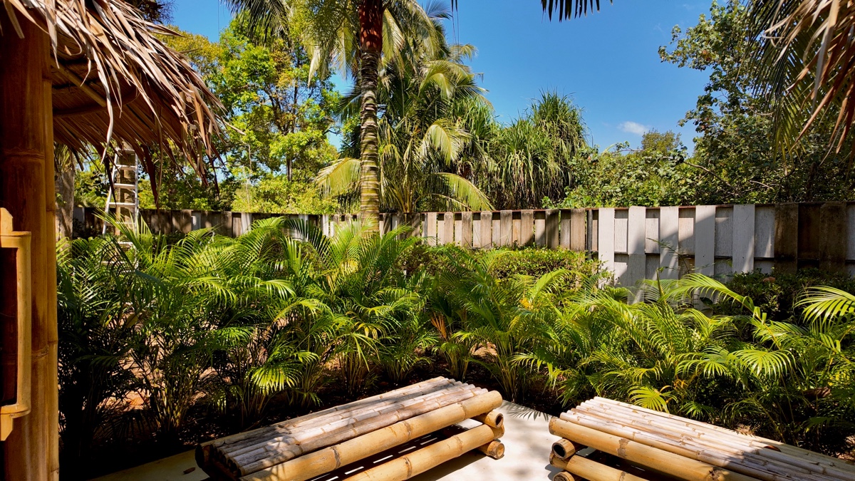 Belief in the power of understanding trauma