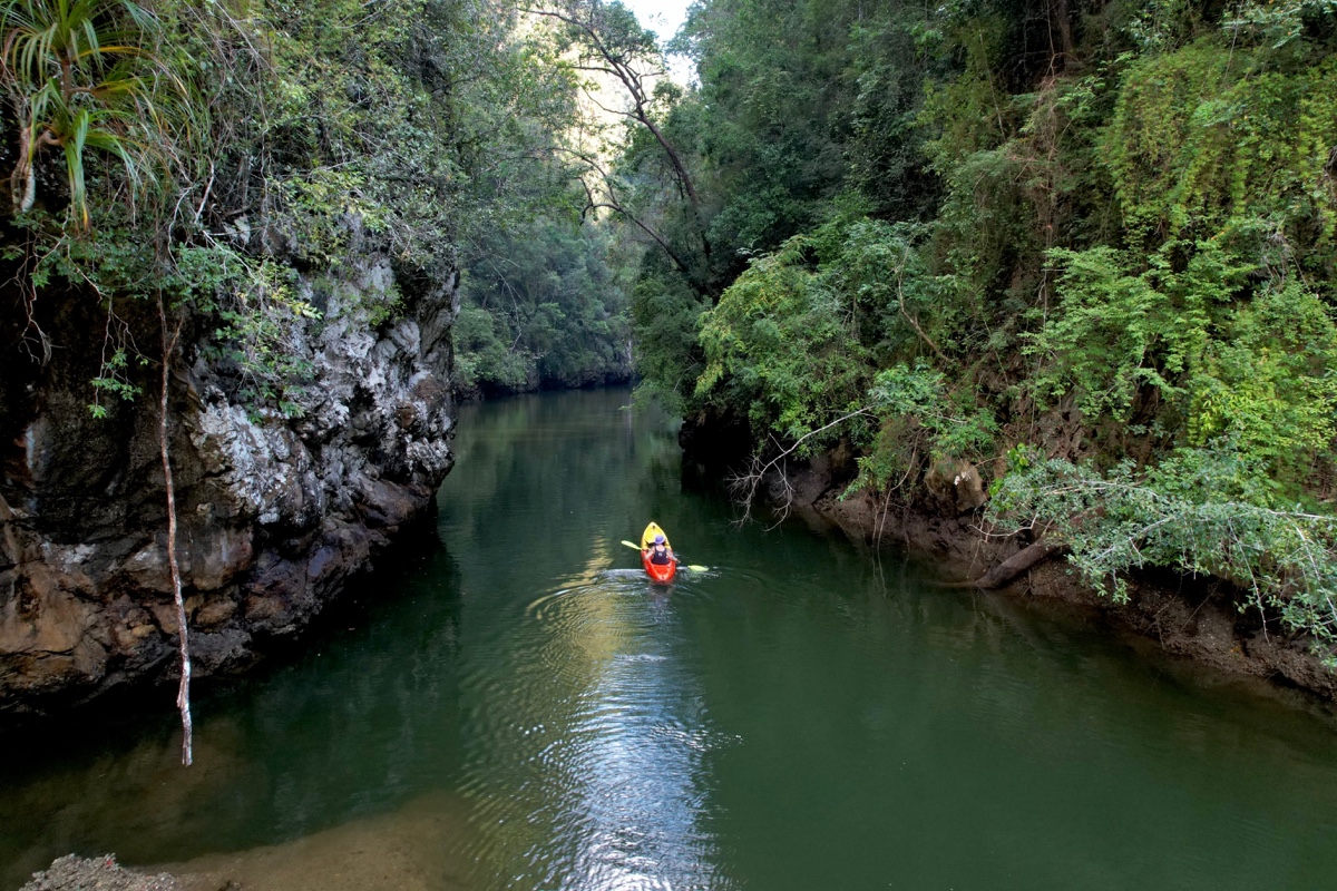 Holistic trauma care